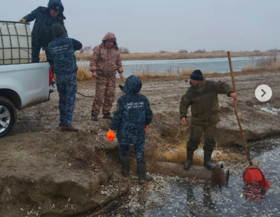 В Жайык-Каспийской инспекции заявили об угрозе замора молоди рыб на водоканале Баксай