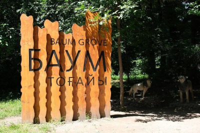 Вырубка деревьев в роще Баума не предусмотрена, при этом свыше 9 тысяч &quot;аварийных&quot; деревьев могут вырубить - акимат Алматы