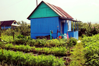 Юрист Кудерко: за хлам и траву на участке у дачников могут отобрать землю