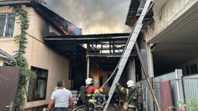 Пожарных раскритиковали за тушение пожара в предгорьях Алматы