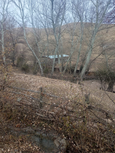 Минсельхоз выявил незаконный захват пастбищ в селе Кызыл-Тоо