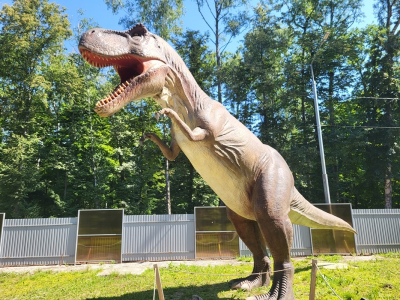 Динозавры появятся в парке Минного городка: первого уже создали