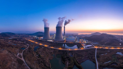 Референдум по строительству АЭС в Казахстане: как будет проходить голосование за рубежом