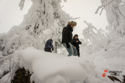 В Красноярском крае возобновили поиски Усольцевых: допросят местных жителей
