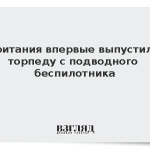 Британия впервые выпустила торпеду с подводного беспилотника