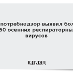 Роспотребнадзор выявил более 250 осенних респираторных вирусов