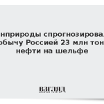 Минприроды спрогнозировало добычу Россией 23 млн тонн нефти на шельфе