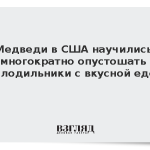 Медведи в США научились многократно опустошать холодильники с вкусной едой