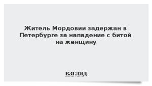 Житель Мордовии задержан в Петербурге за нападение с битой на женщину