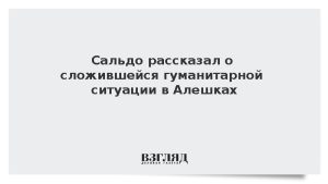 Сальдо рассказал о сложившейся гуманитарной обстановке в Алешках