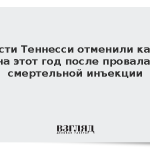 Власти Теннесси отменили казни на этот год после провала смертельной инъекции