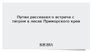 Путин рассказал о встрече с тигром в лесах Приморского края