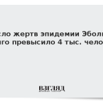 Число жертв эпидемии Эболы в Конго превысило 4 тыс. человек
