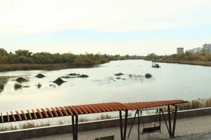 В Кургане расчистят 1,7 километра Тобола от «Бабьих песков» до плотины. Фото