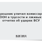 Мирошник уличил комиссаров ООН в трусости и лживых отчетах об ударах ВСУ