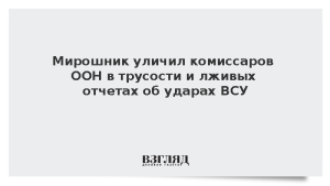 Мирошник уличил комиссаров ООН в трусости и лживых отчетах об ударах ВСУ