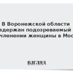В Воронежской области задержан подозреваемый в расчленении женщины в Москве