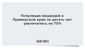 Популяция медведей в Приморском крае за десять лет увеличилась на 75%