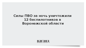 Силы ПВО за ночь уничтожили 12 беспилотников в Воронежской области