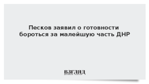 Песков заявил о готовности бороться за малейшую часть ДНР
