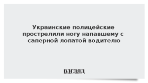 Украинские полицейские прострелили ногу напавшему с саперной лопатой водителю