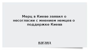 Мерц в Киеве заявил о несогласии с мнением немцев о поддержке Киева