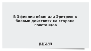 В Эфиопии обвинили Эритрею в боевых действиях на стороне повстанцев