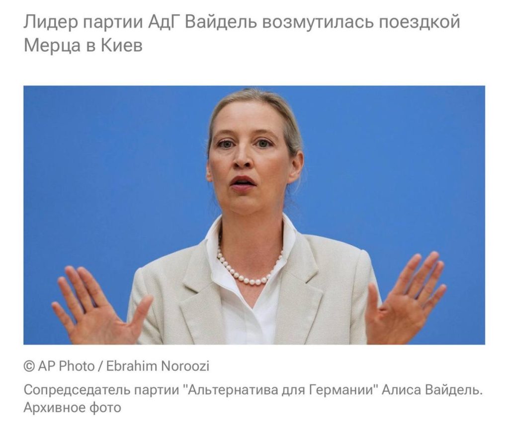 Необъявленный визит Мерца в Киев вызвал возмущение в Германии