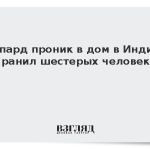 Леопард проник в дом в Индии и ранил шестерых человек