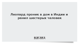 Леопард проник в дом в Индии и ранил шестерых человек