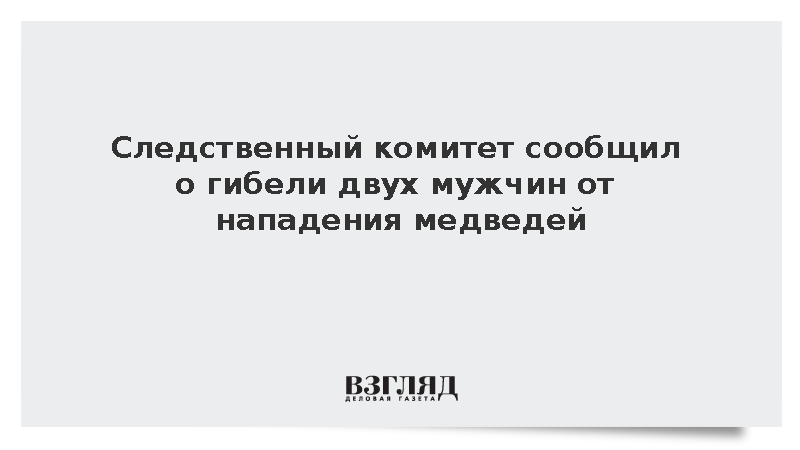 Следственный комитет сообщил о гибели двух мужчин от нападения медведей