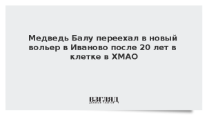 Медведь Балу переехал в новый вольер в Иваново после 20 лет в клетке в ХМАО