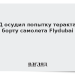 МИД осудил попытку теракта на борту самолета Flydubai