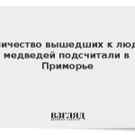 Количество вышедших к людям медведей подсчитали в Приморье