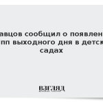 Кравцов сообщил о появлении групп выходного дня в детских садах