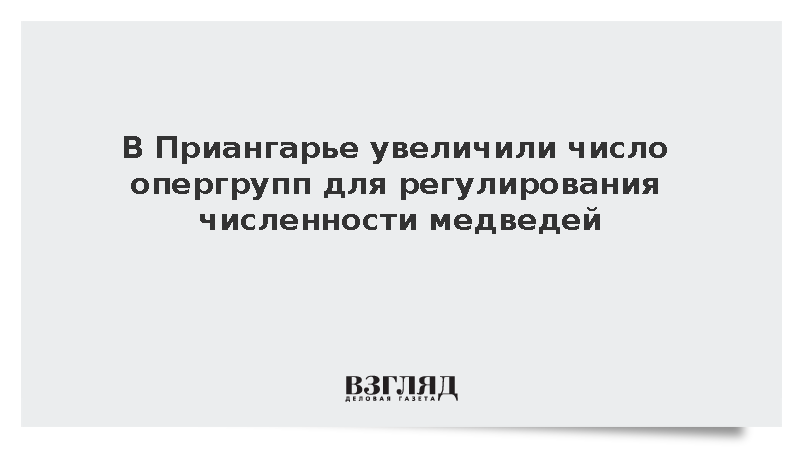 В Приангарье увеличили число опергрупп для регулирования численности медведей