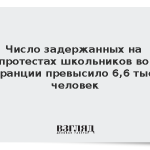 Число задержанных на протестах школьников во Франции превысило 6,6 тыс. человек