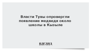 Власти Тувы опровергли появление медведя около школы в Кызыле