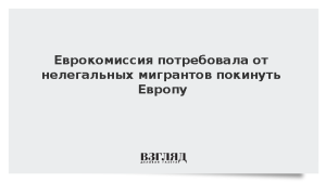 Еврокомиссия потребовала от нелегальных мигрантов покинуть Европу