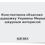 Константинов объяснил поддержку Украины Мерцем шкурным интересом