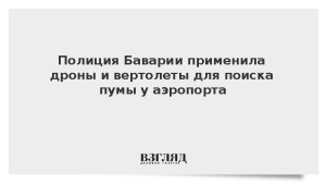 Полиция Баварии применила дроны и вертолеты для поиска пумы у аэропорта
