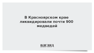 В Красноярском крае ликвидировали почти 900 медведей