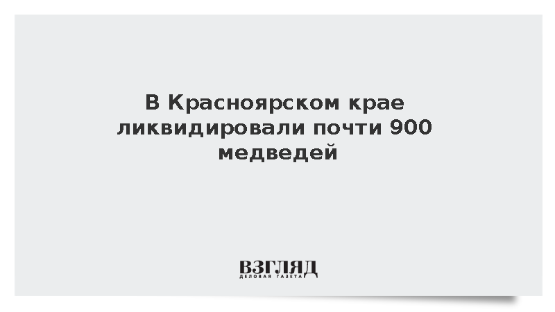 В Красноярском крае ликвидировали почти 900 медведей