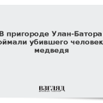 В пригороде Улан-Батора поймали убившего человека медведя