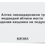 На Алтае ликвидировали трех медведей вблизи места нападения хищника на подростка