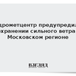 Гидрометцентр предупредил о сохранении сильного ветра в Московском регионе