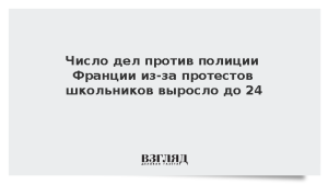 Число дел против полиции Франции из-за протестов школьников выросло до 24