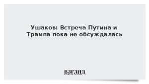 Ушаков: Встреча Путина и Трампа пока не обсуждалась