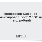 Профессор Сафонов спрогнозировал рост МРОТ до 29 тыс. рублей