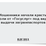 Мошенники начали красть пароли от «Госуслуг» под видом выдачи загранпаспортов